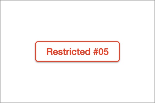 restricted project #05
