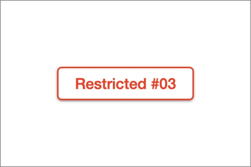 restricted project #03